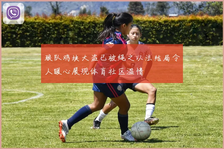狼队鸡块大盗已被绳之以法结局令人暖心展现体育社区温情