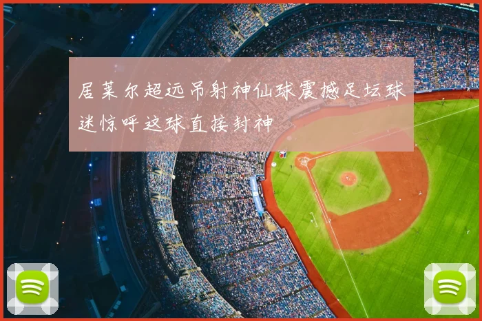 居莱尔超远吊射神仙球震撼足坛球迷惊呼这球直接封神